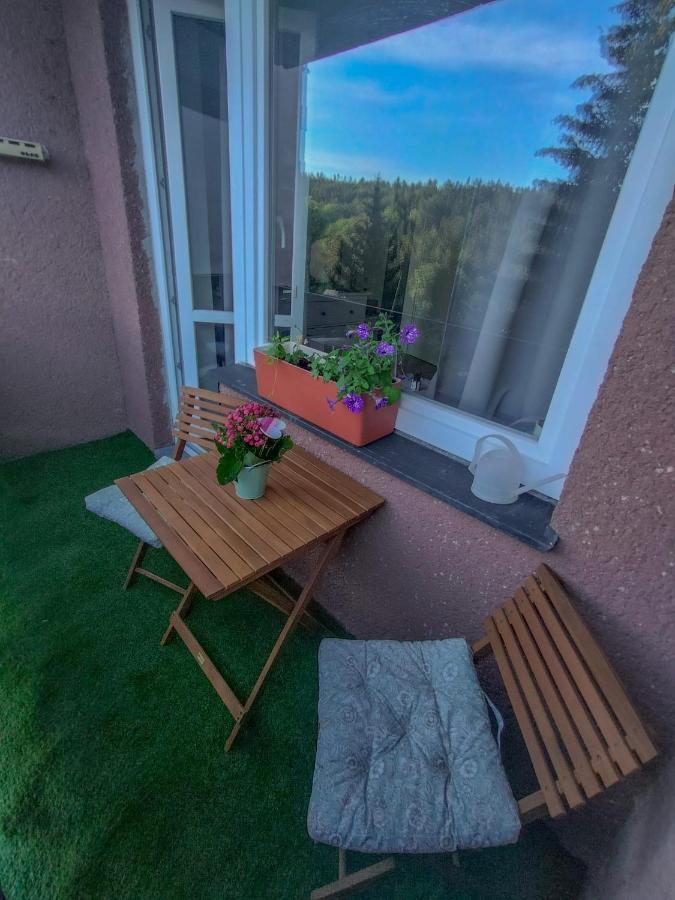 Apartmanek Protez Janske Lazne Εξωτερικό φωτογραφία