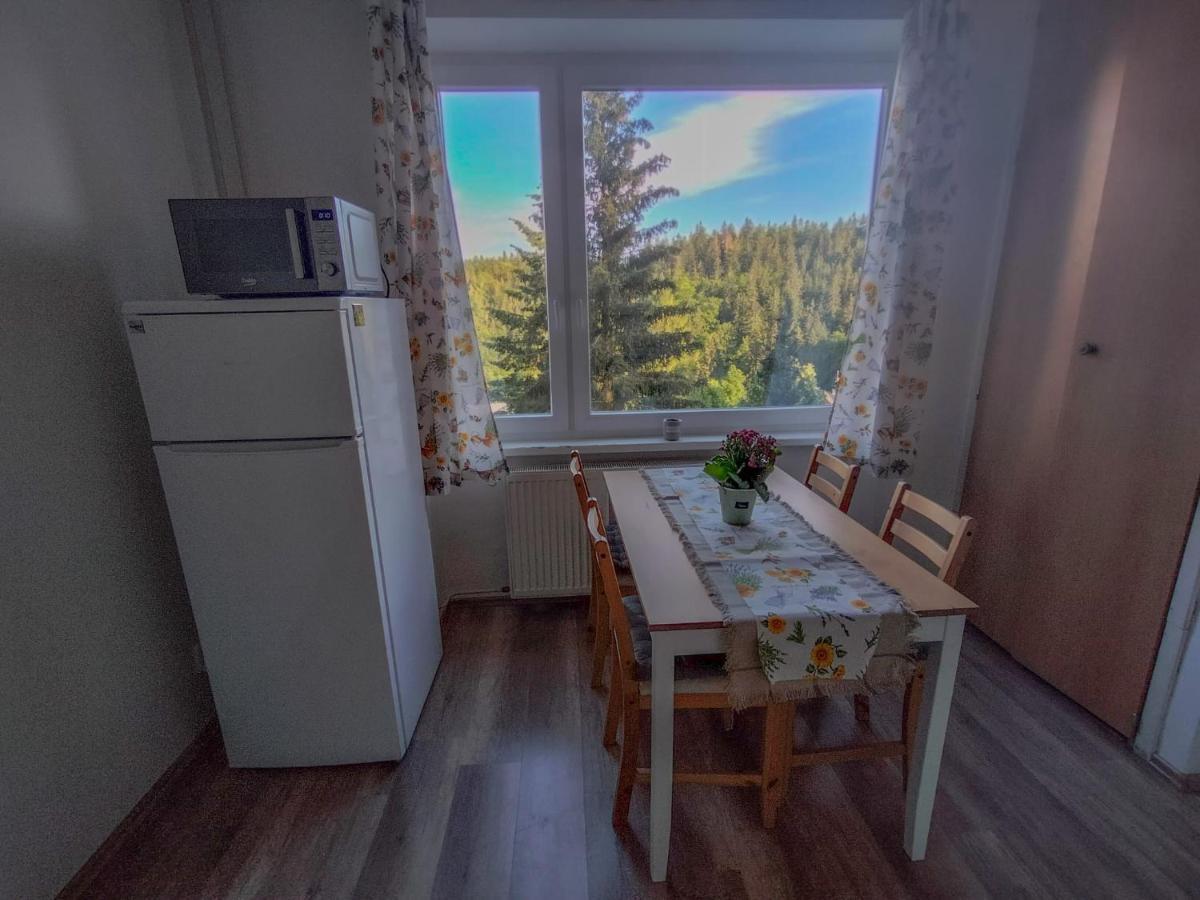 Apartmanek Protez Janske Lazne Εξωτερικό φωτογραφία