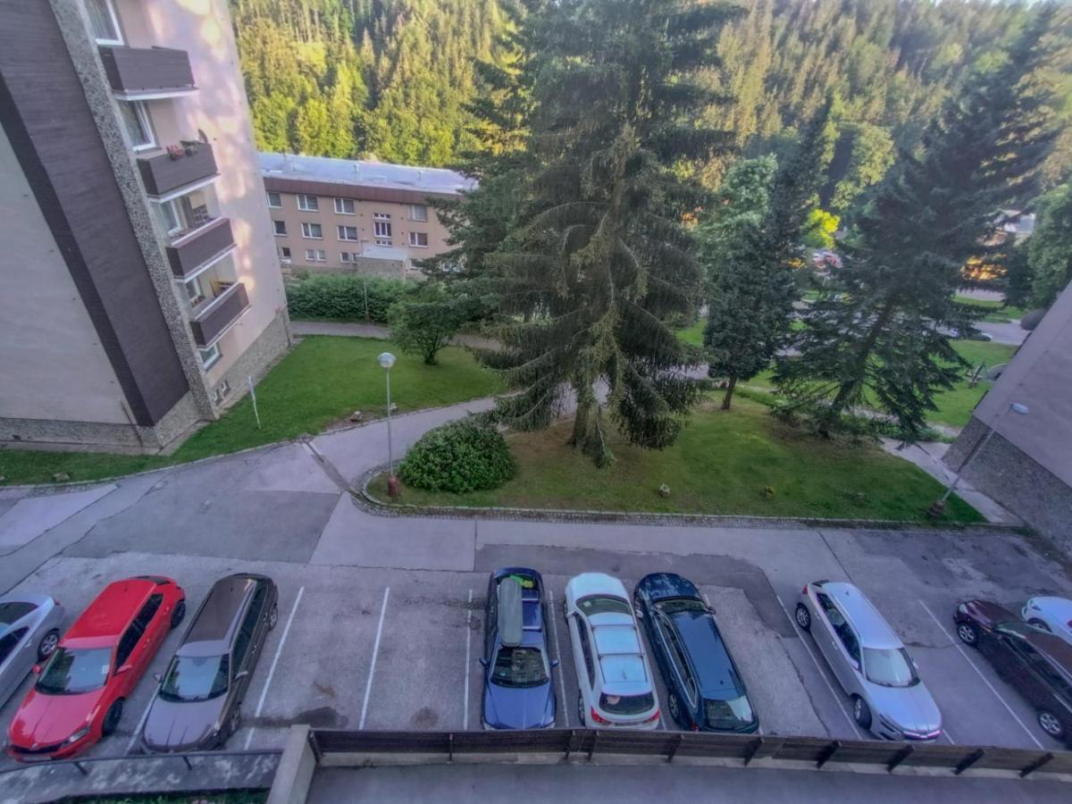 Apartmanek Protez Janske Lazne Εξωτερικό φωτογραφία