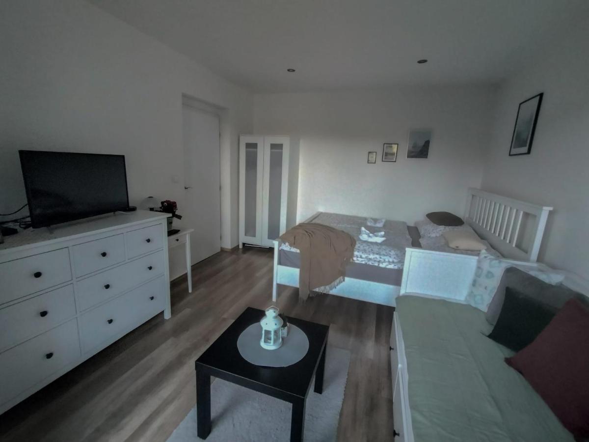 Apartmanek Protez Janske Lazne Εξωτερικό φωτογραφία