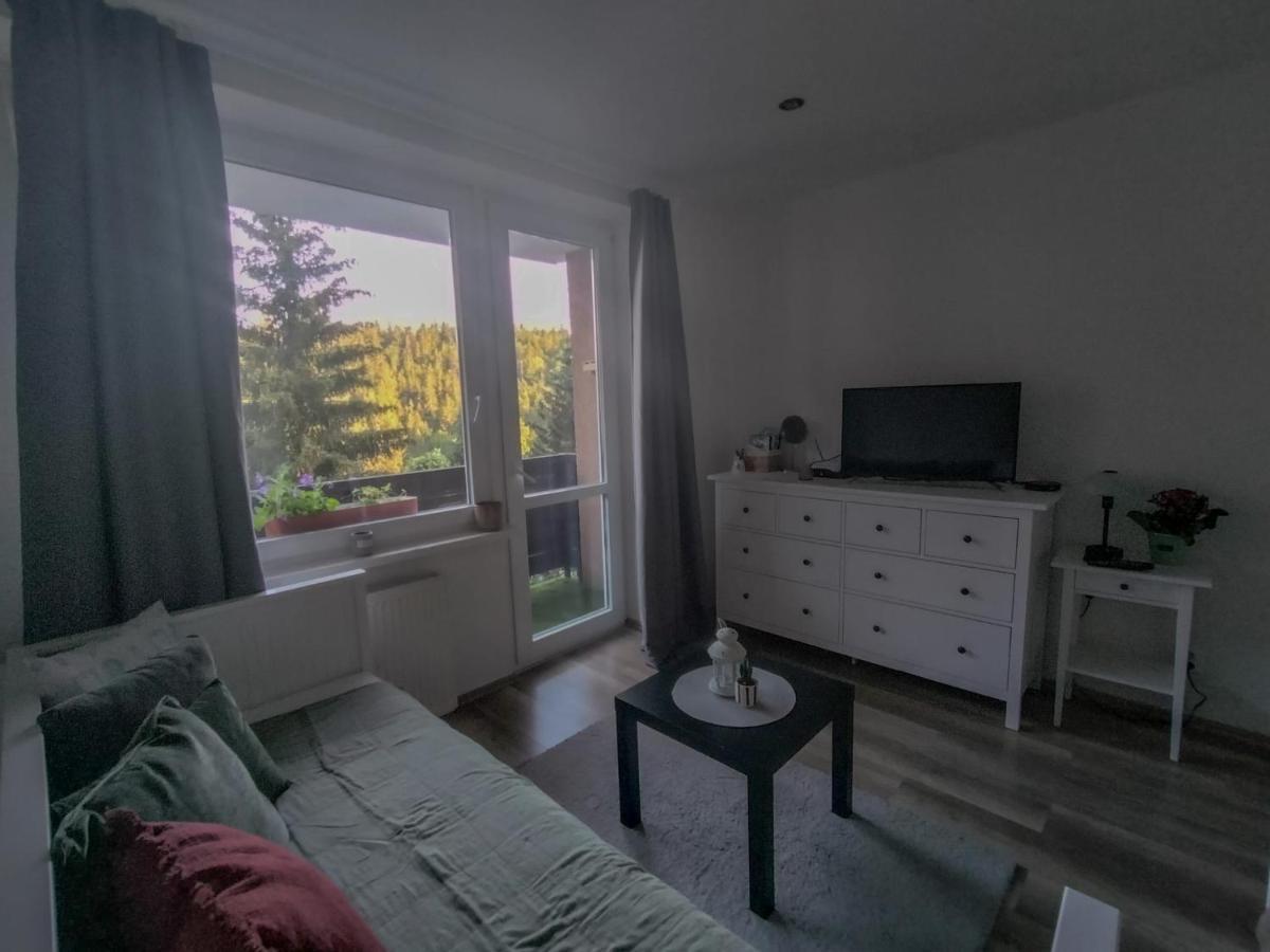 Apartmanek Protez Janske Lazne Εξωτερικό φωτογραφία