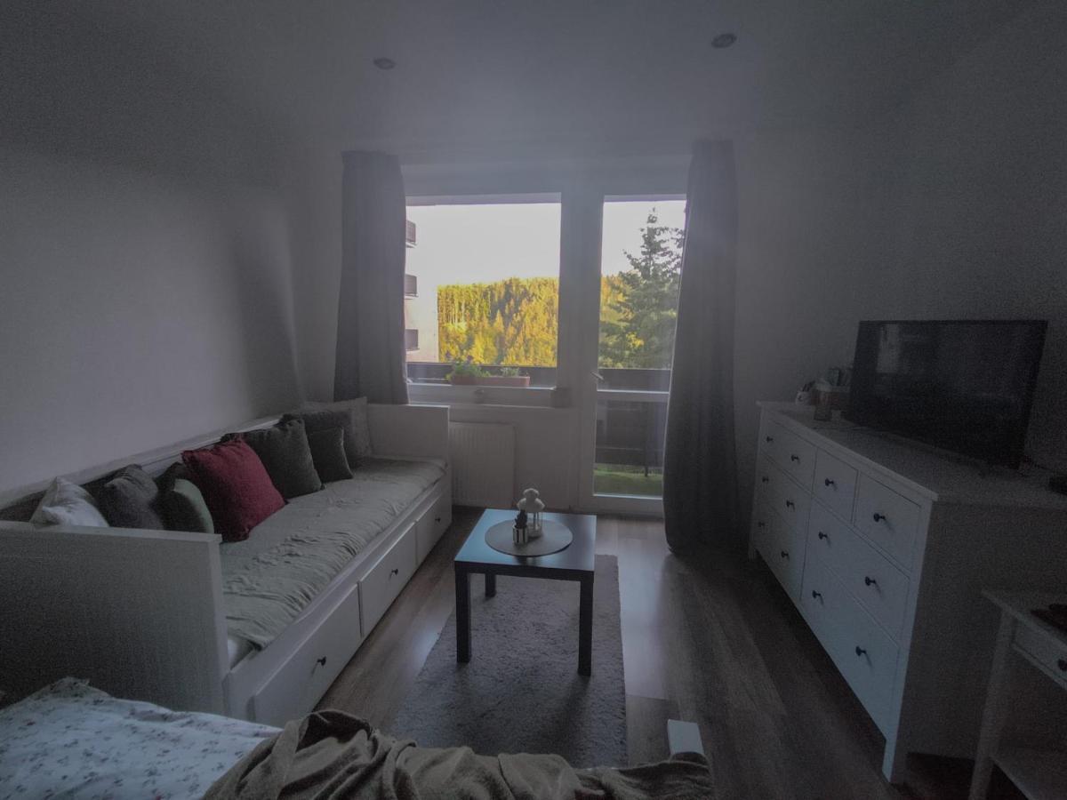 Apartmanek Protez Janske Lazne Εξωτερικό φωτογραφία
