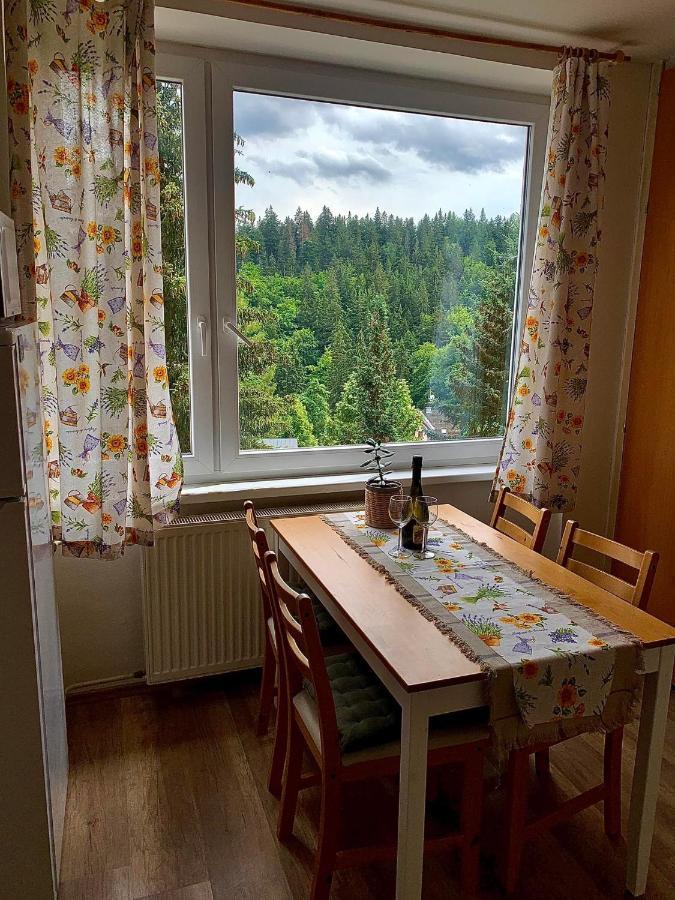 Apartmanek Protez Janske Lazne Εξωτερικό φωτογραφία