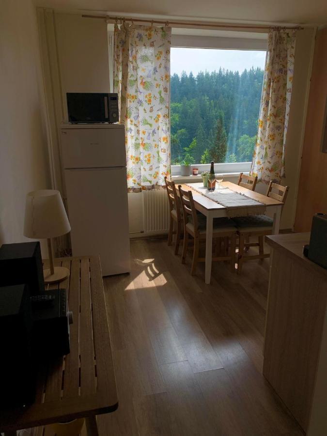 Apartmanek Protez Janske Lazne Εξωτερικό φωτογραφία